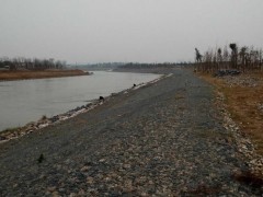 白沙洲工业园区：5月25日前完成危险河堤除险加固工程