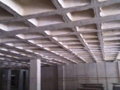 浅析混凝土叠合箱网梁楼盖的的基本结构与技术优势