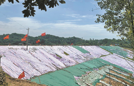 除险加固后的白洋河水库大坝