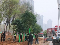 西安经开区开展“迎十四运”道路提升加固改造工作