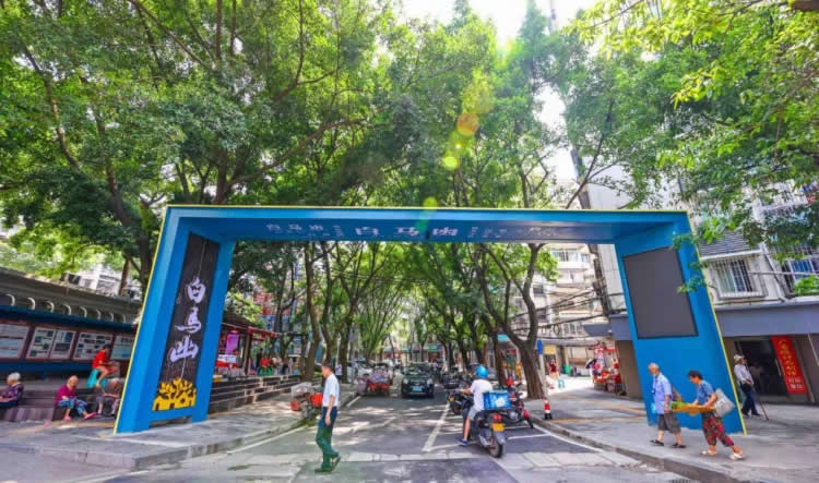 位于九龙坡的白马凼小区经过半年的改造焕然一新。九龙坡区住房城乡建委供图