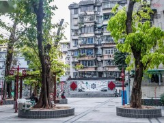 广州市荔湾区探索老旧小区连片提升模式