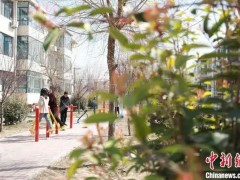河北邢台任泽区老旧小区改造：既要“好看”更要“好住”